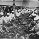 Image for article titled Utterly Disturbing, Century-Old Photos of Meat-Packing Facilities